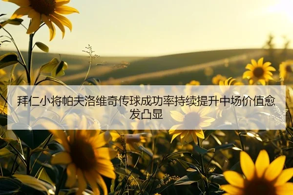 拜仁小将帕夫洛维奇传球成功率持续提升中场价值愈发凸显
